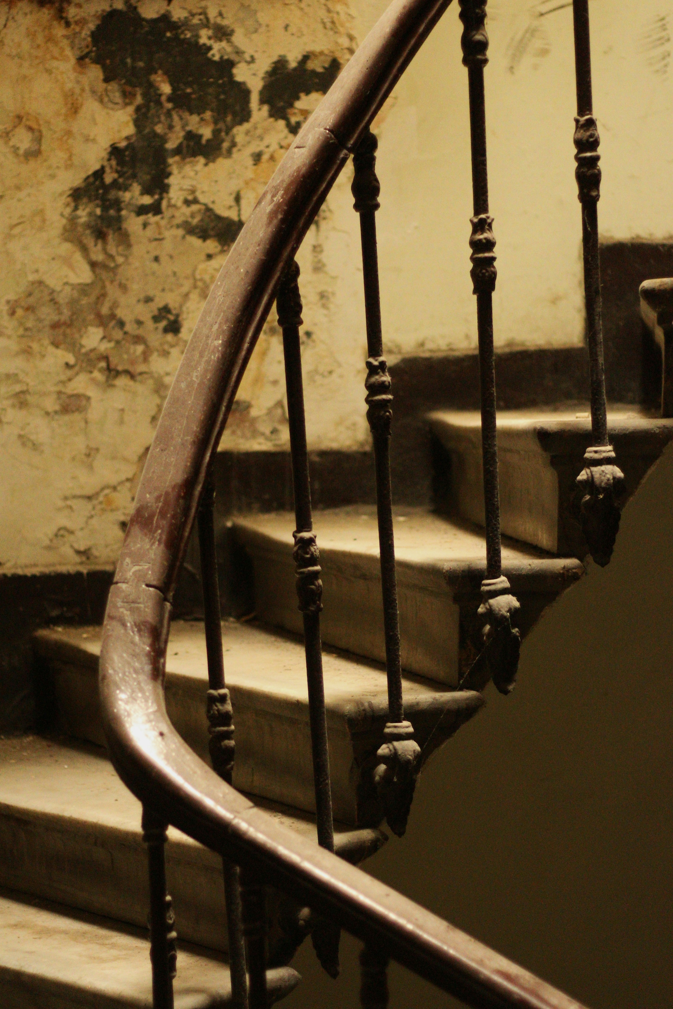 Photo by nagihanglmz