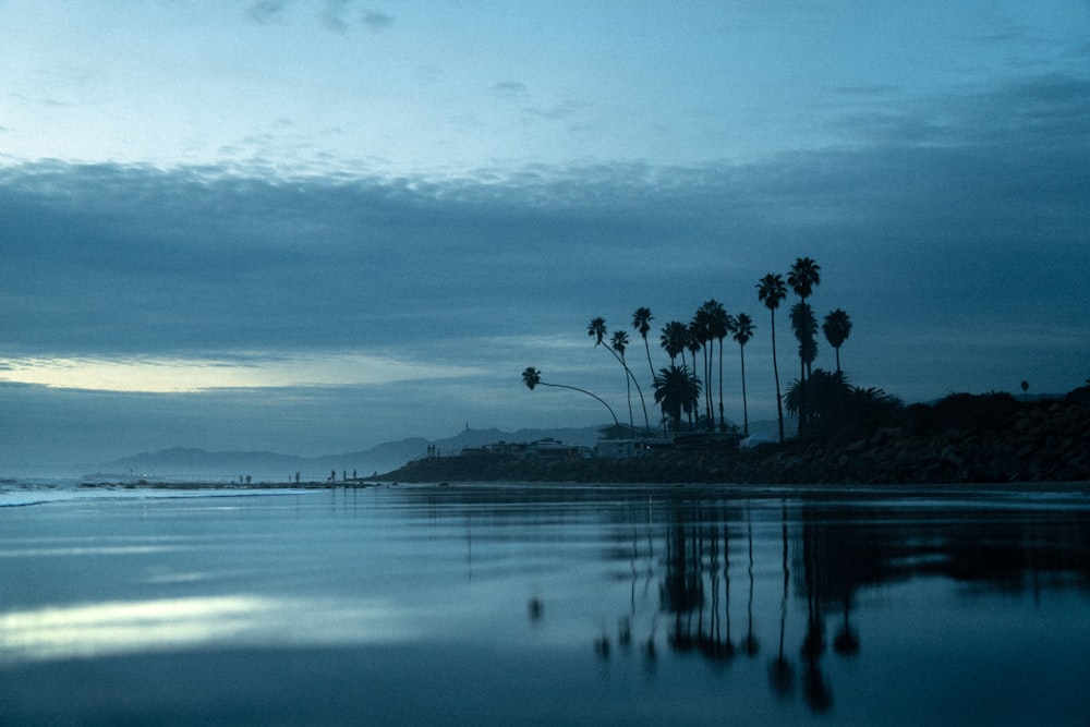 a body of water with palm trees in the background