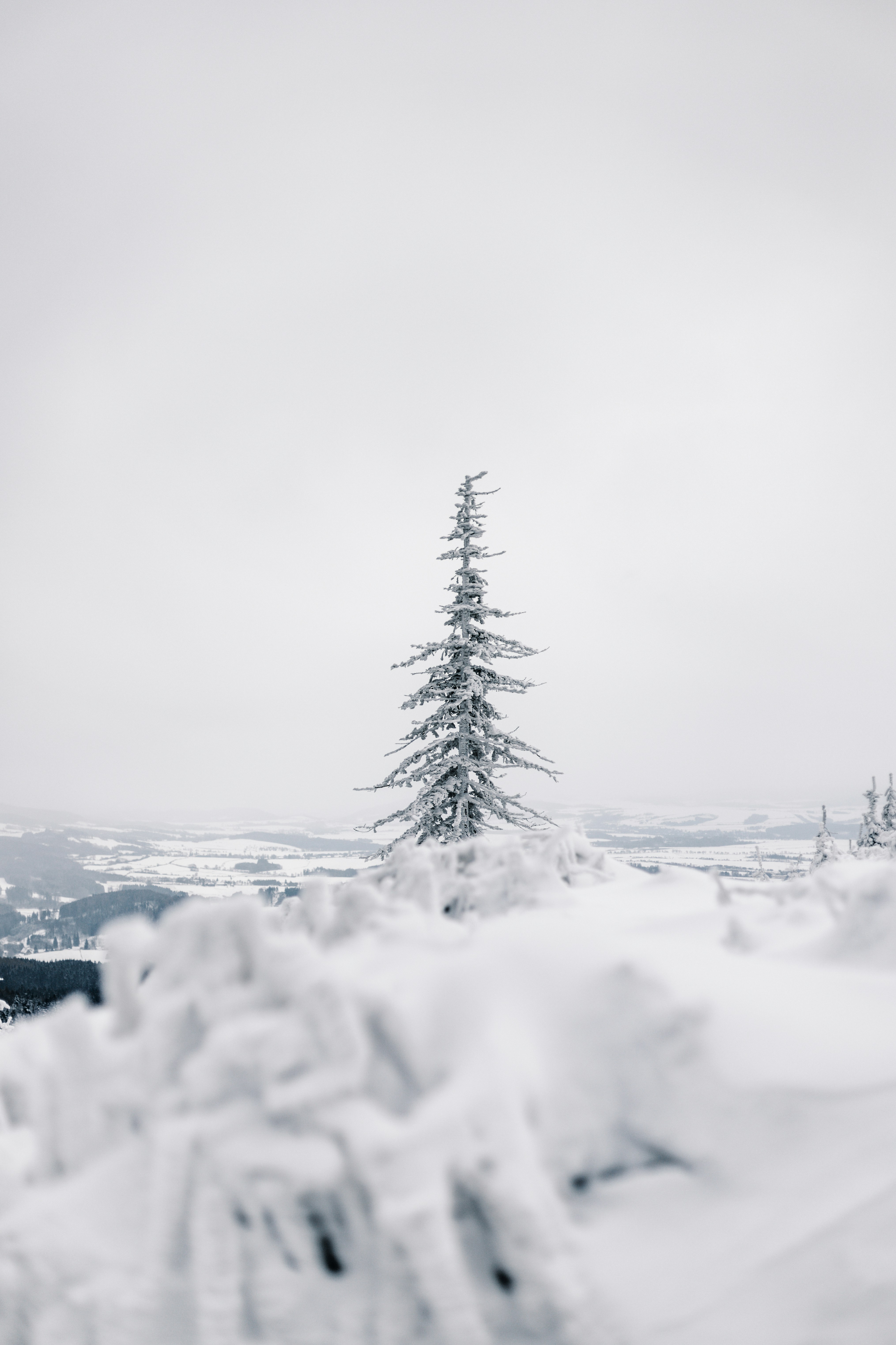 How To Delete SnapLoveDating.com Dating Account Permanently?