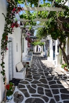 A narrow cobblestone street lined with blooming bougainvillea and small cafés.