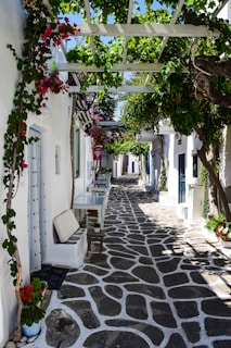 A narrow cobblestone street lined with blooming bougainvillea and small cafés.