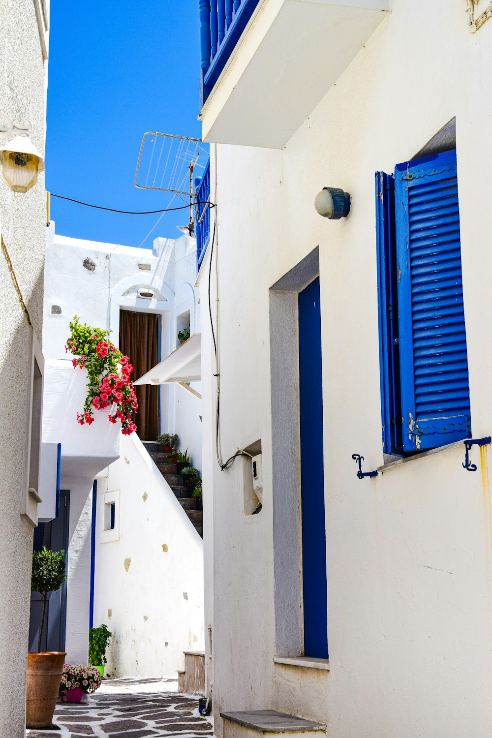 Un callejón estrecho con persianas azules y flores