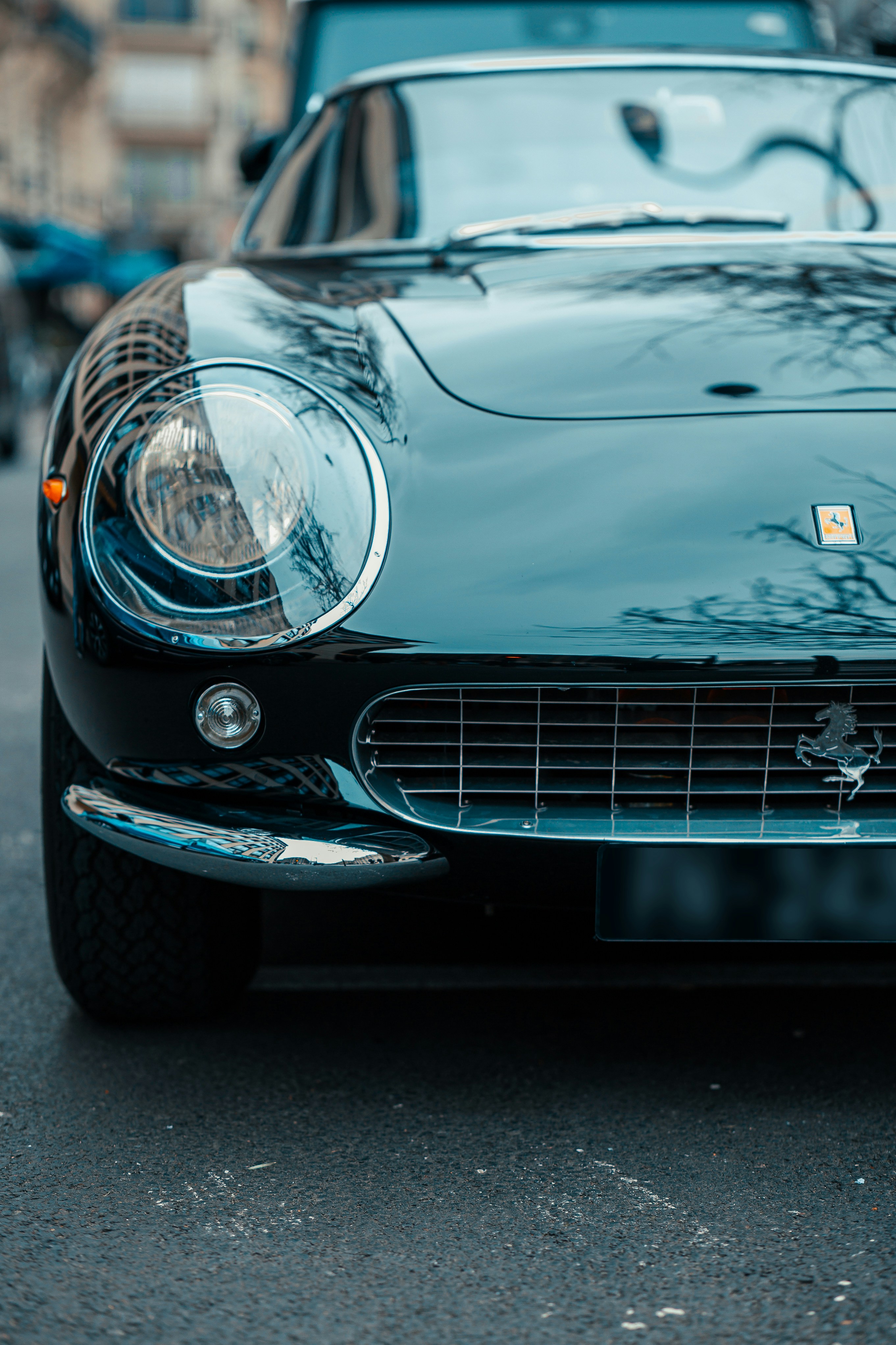 Photo by almeidajorgephotographie