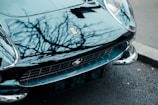 The front end of a polished, vintage car with a grille and a distinctive emblem is visible. The reflection of bare tree branches creates an intricate pattern on the car's shiny surface, adding a dynamic visual element.