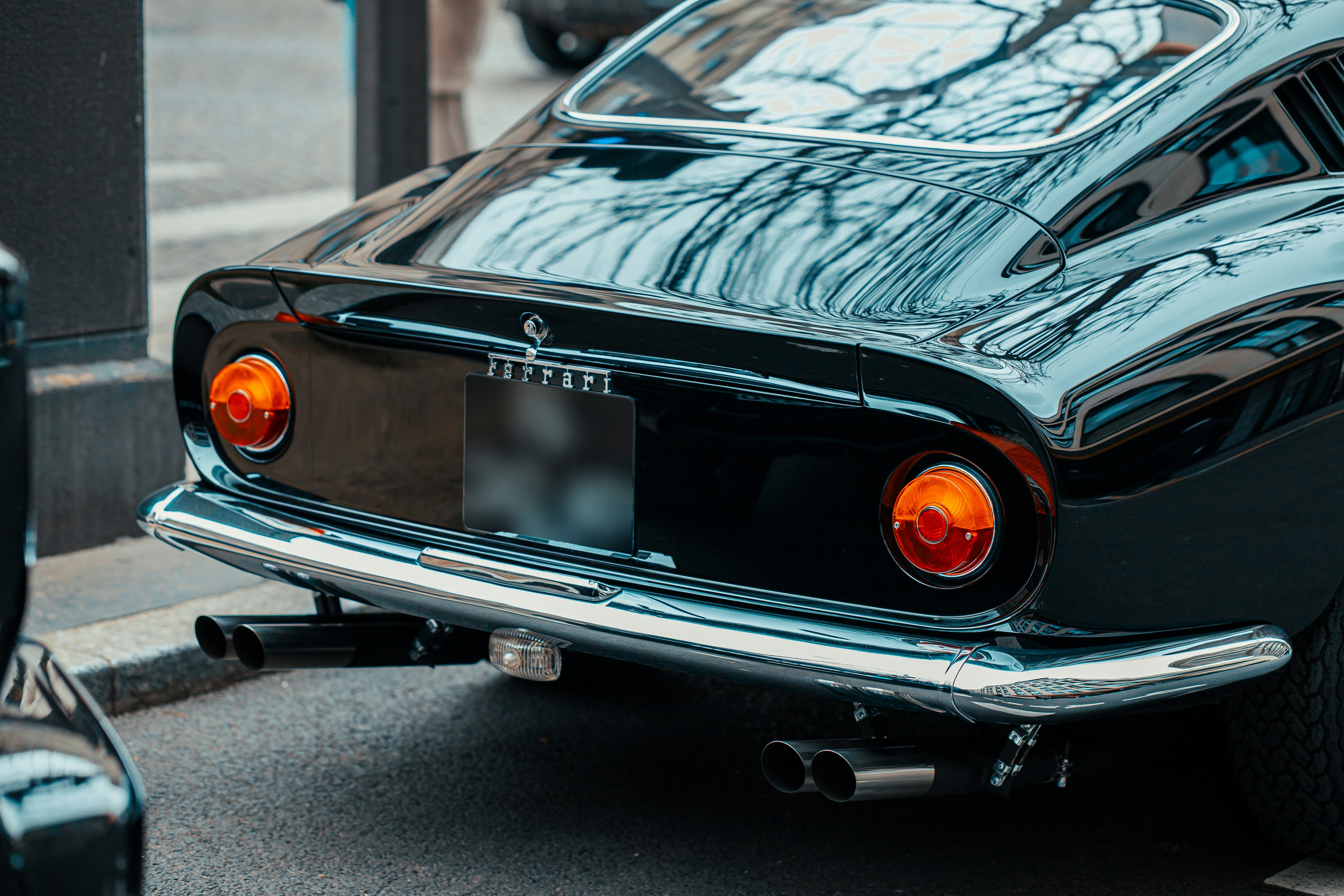 Photo by almeidajorgephotographie