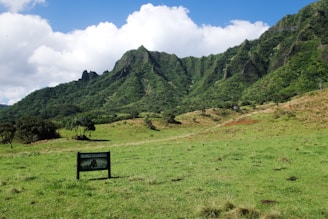 A scenic outdoor location for a film shoot.