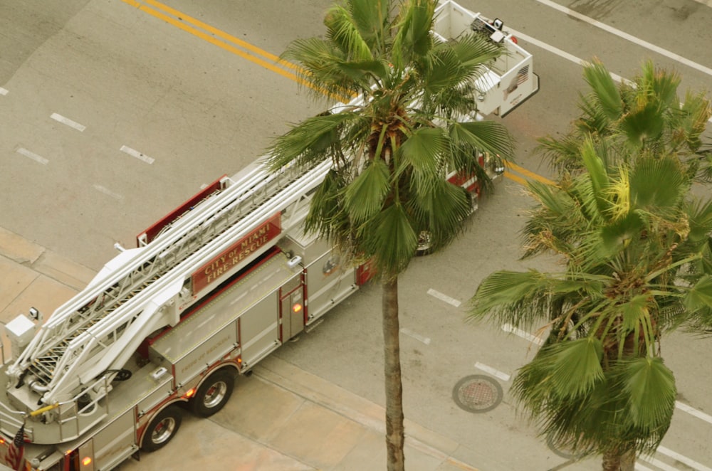 a fire truck parked next to a palm tree