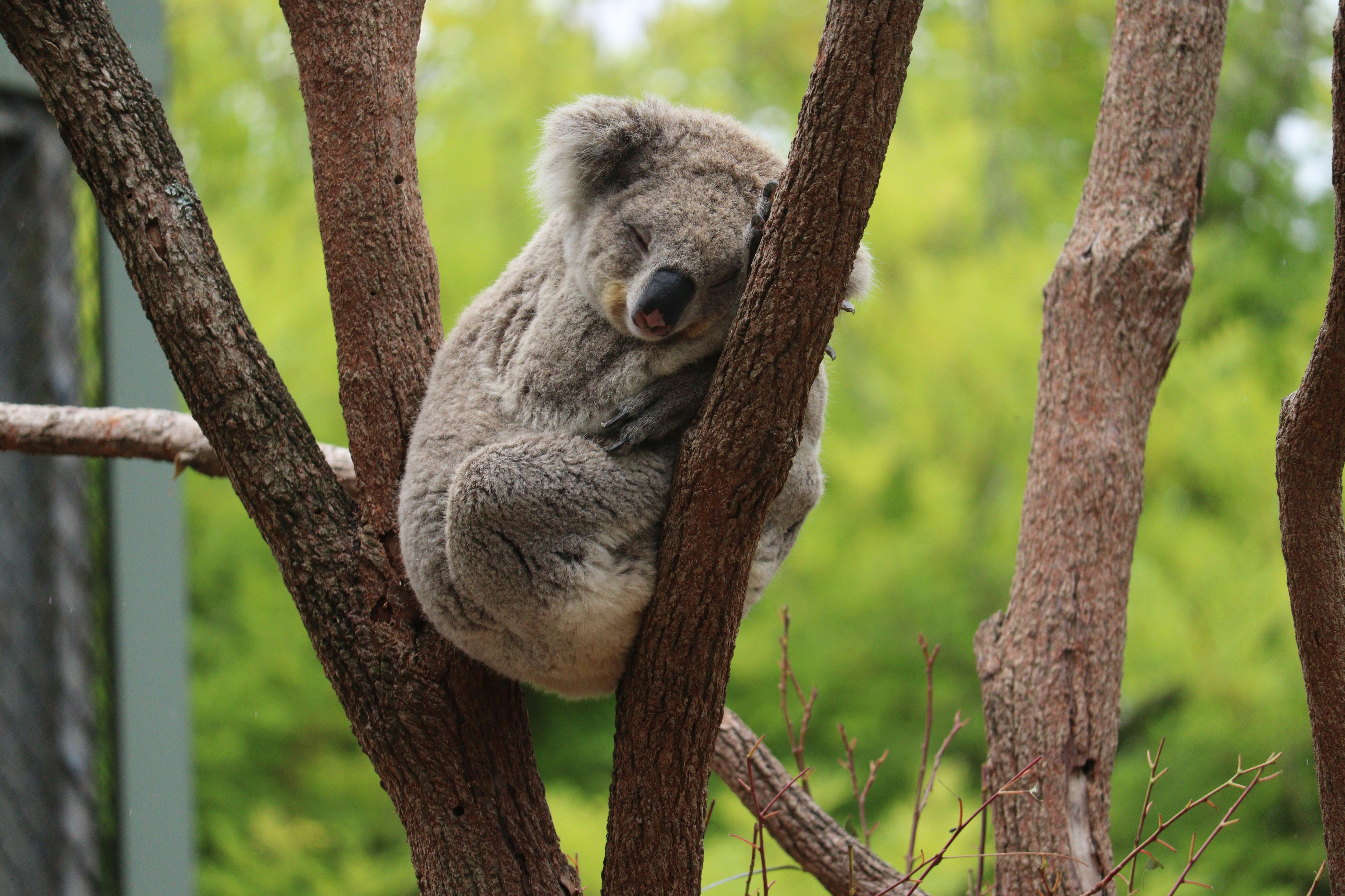 Photo by sandeepsapkota