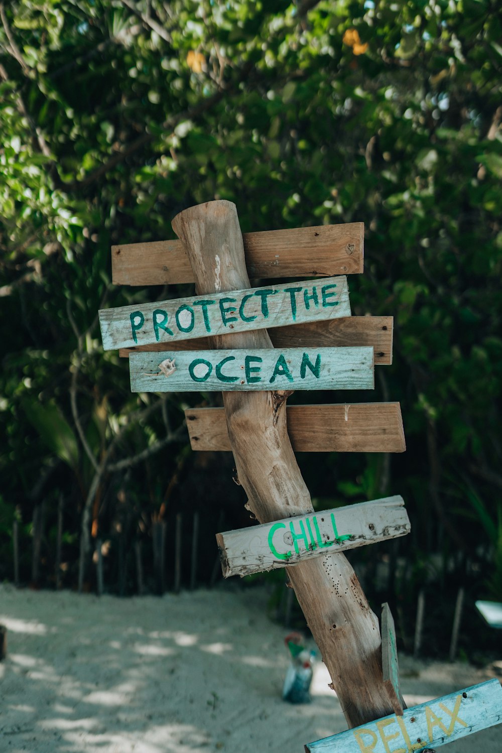a wooden sign that says protect the ocean