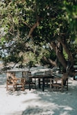 A peaceful outdoor setting for a numerology session.
