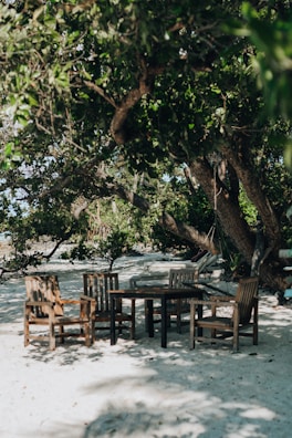 A peaceful outdoor setting for a numerology session.