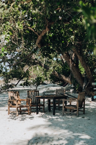 A tranquil outdoor setting with cushions for a group discussion.