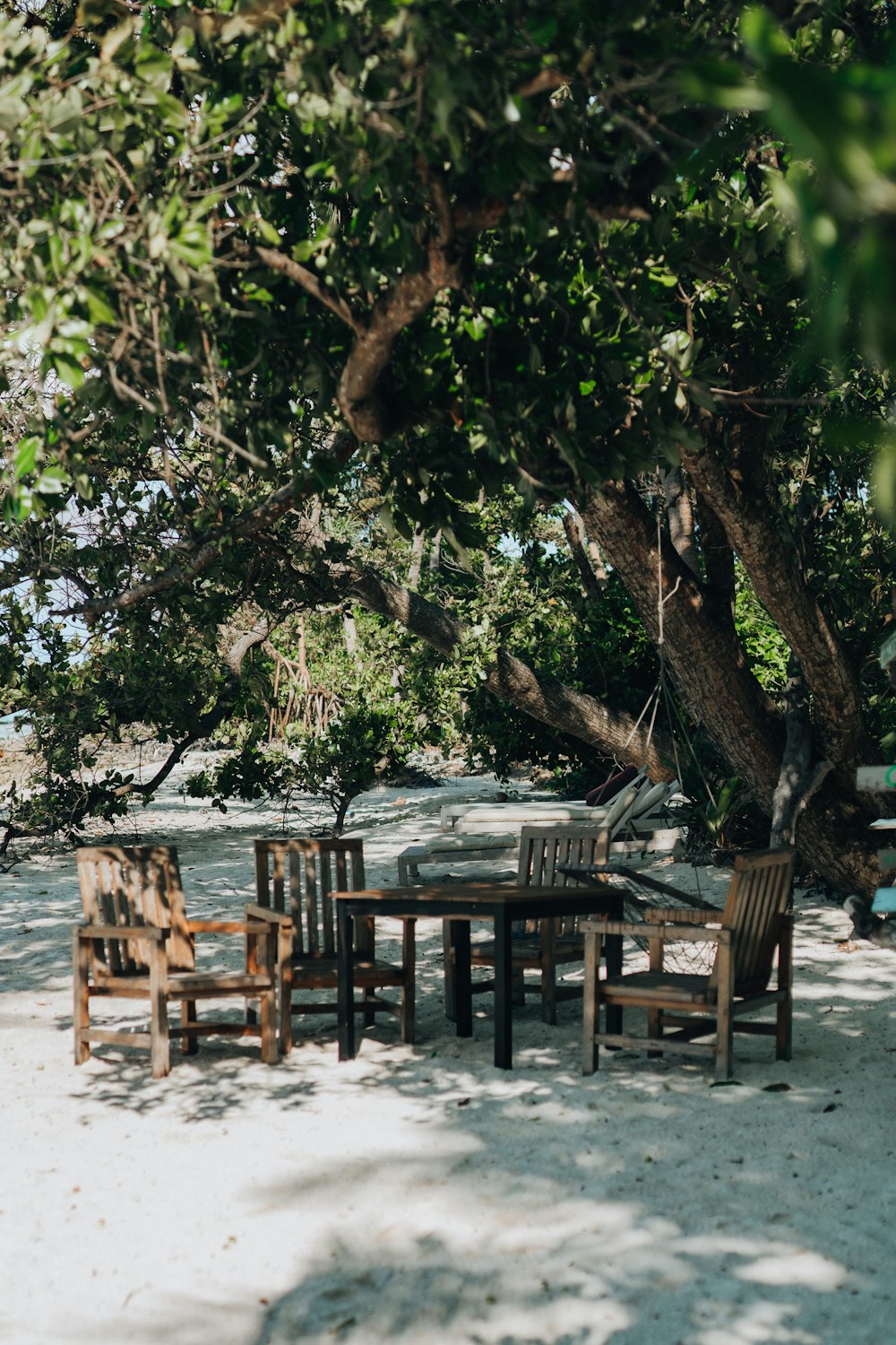 a table and chairs under a tree on a beach