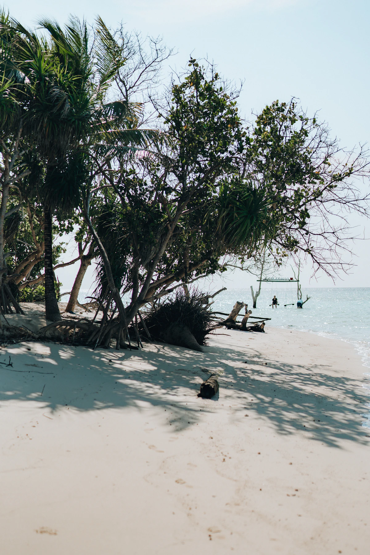 Îles locales