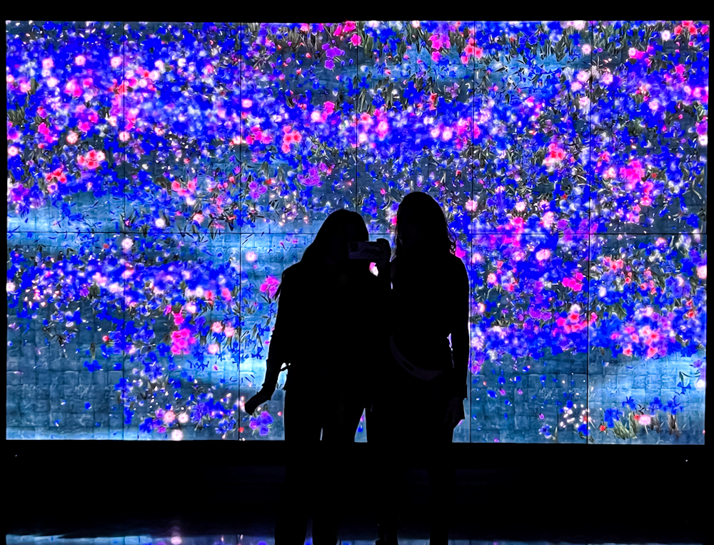 two women are standing in front of a large screen