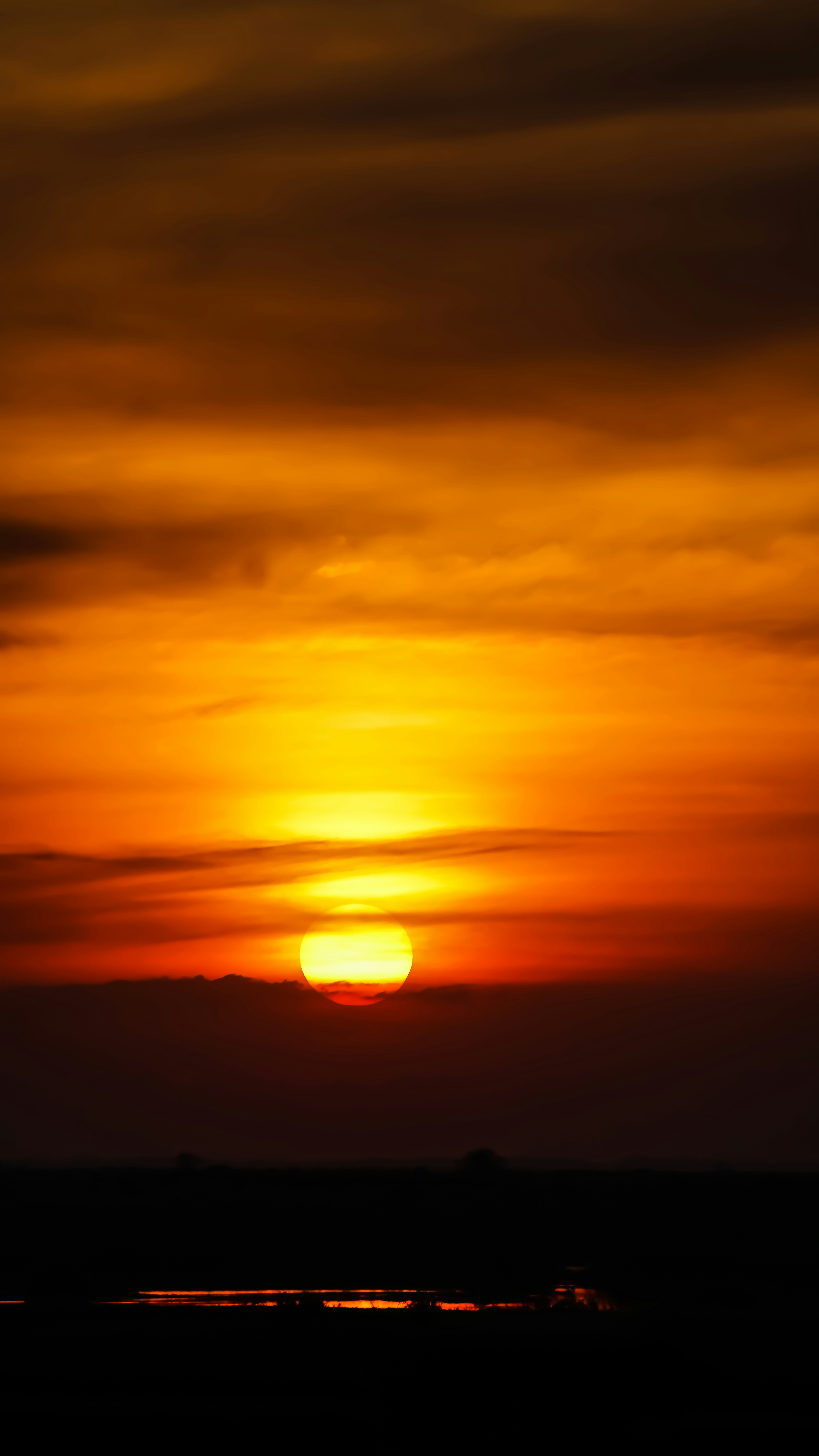 Photo by williams_kong