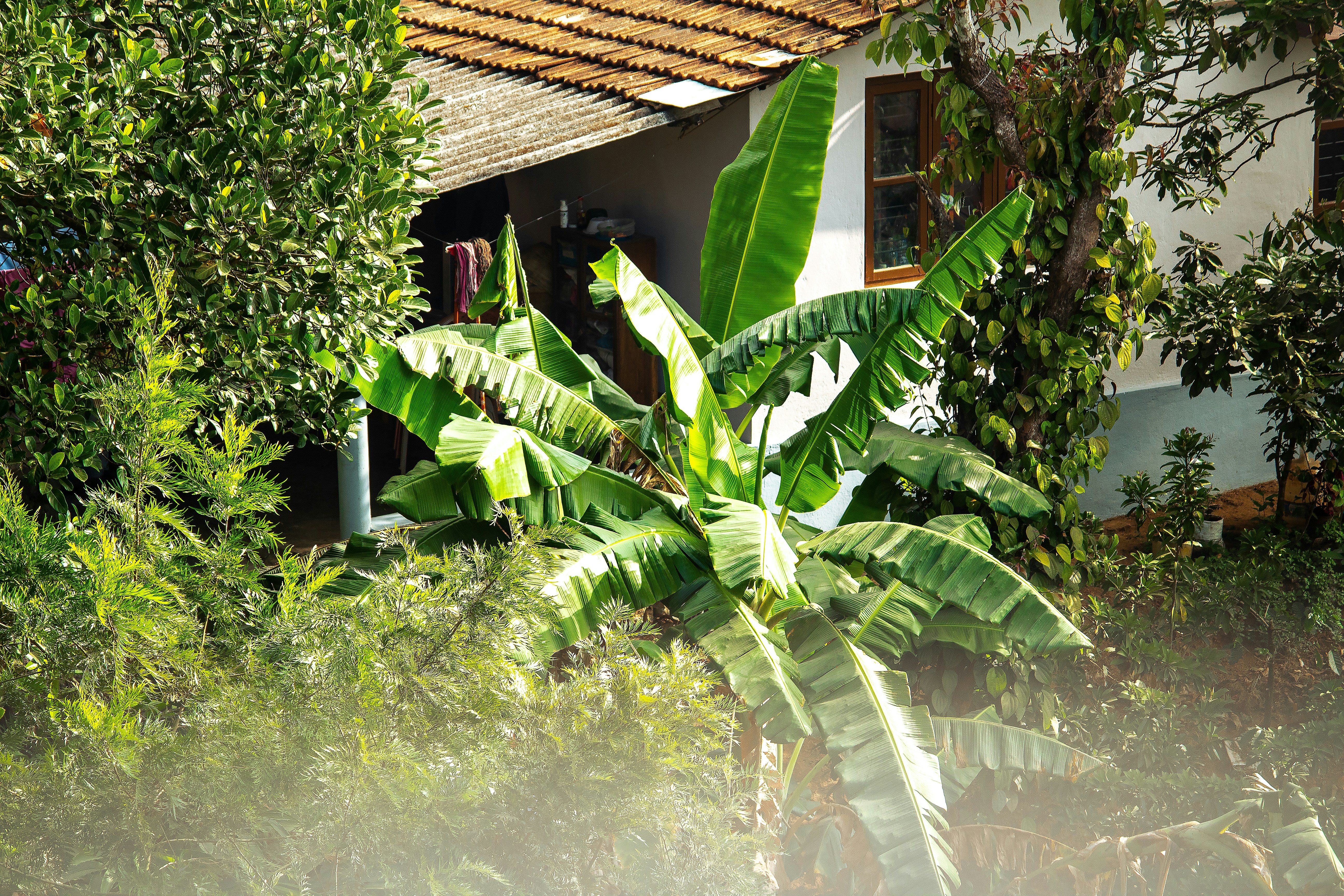 Photo by rakeshmondal