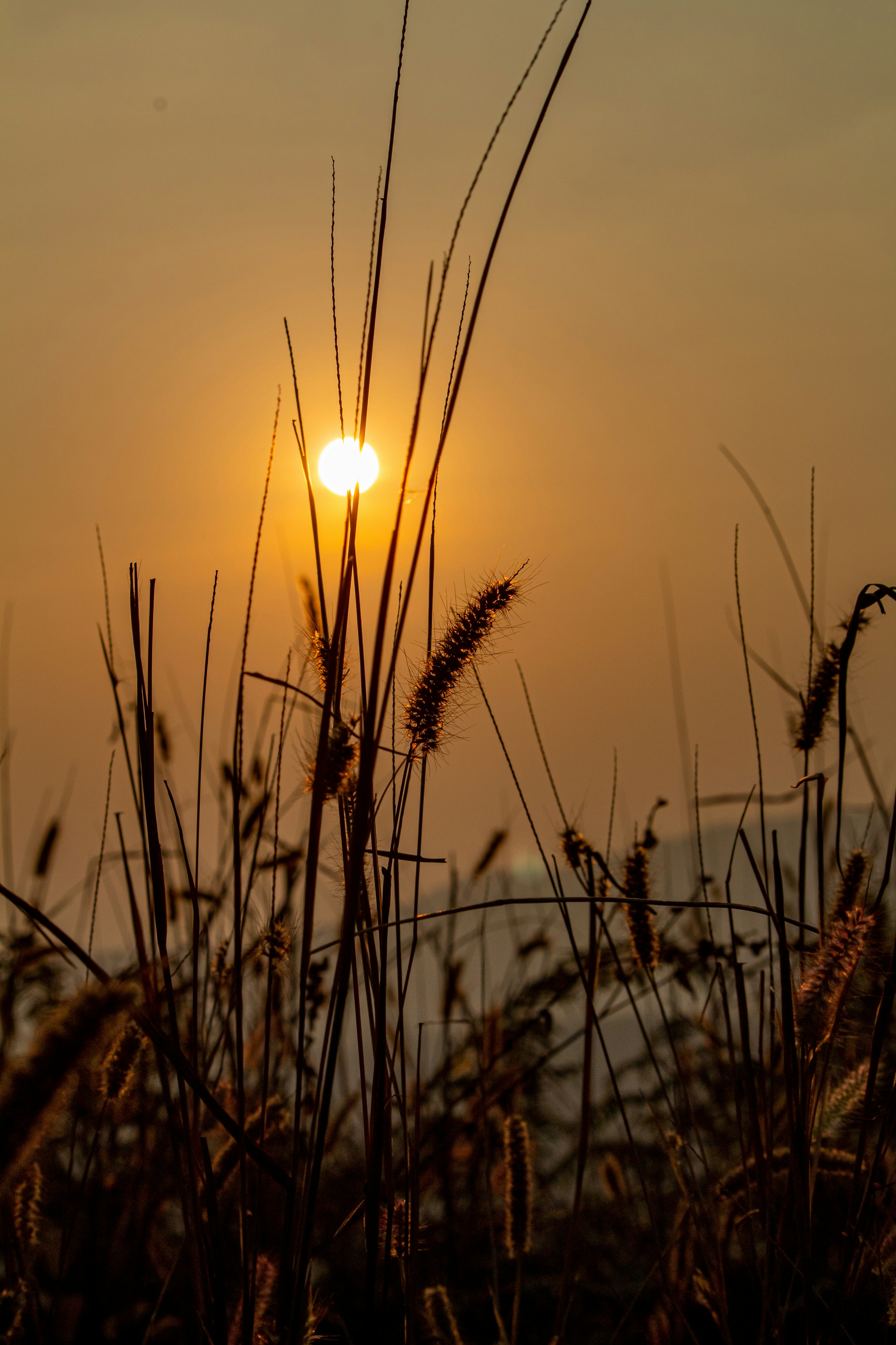 Photo by rakeshmondal