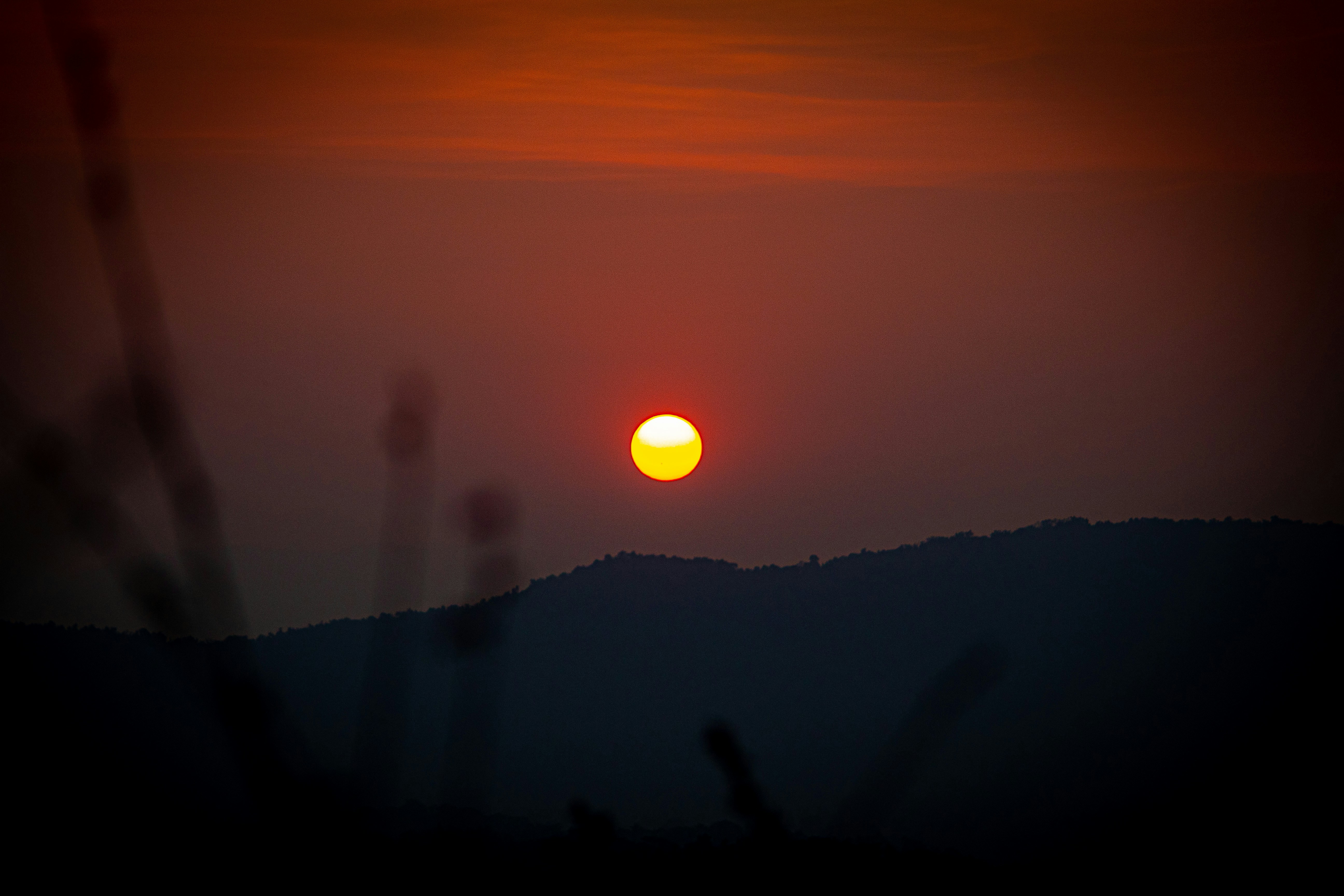 Photo by rakeshmondal