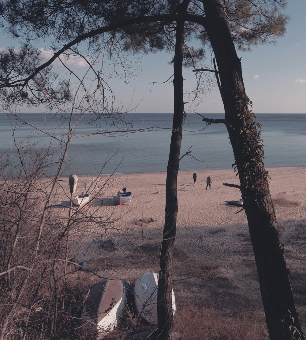 a group of boats sitting on top of a sandy beach