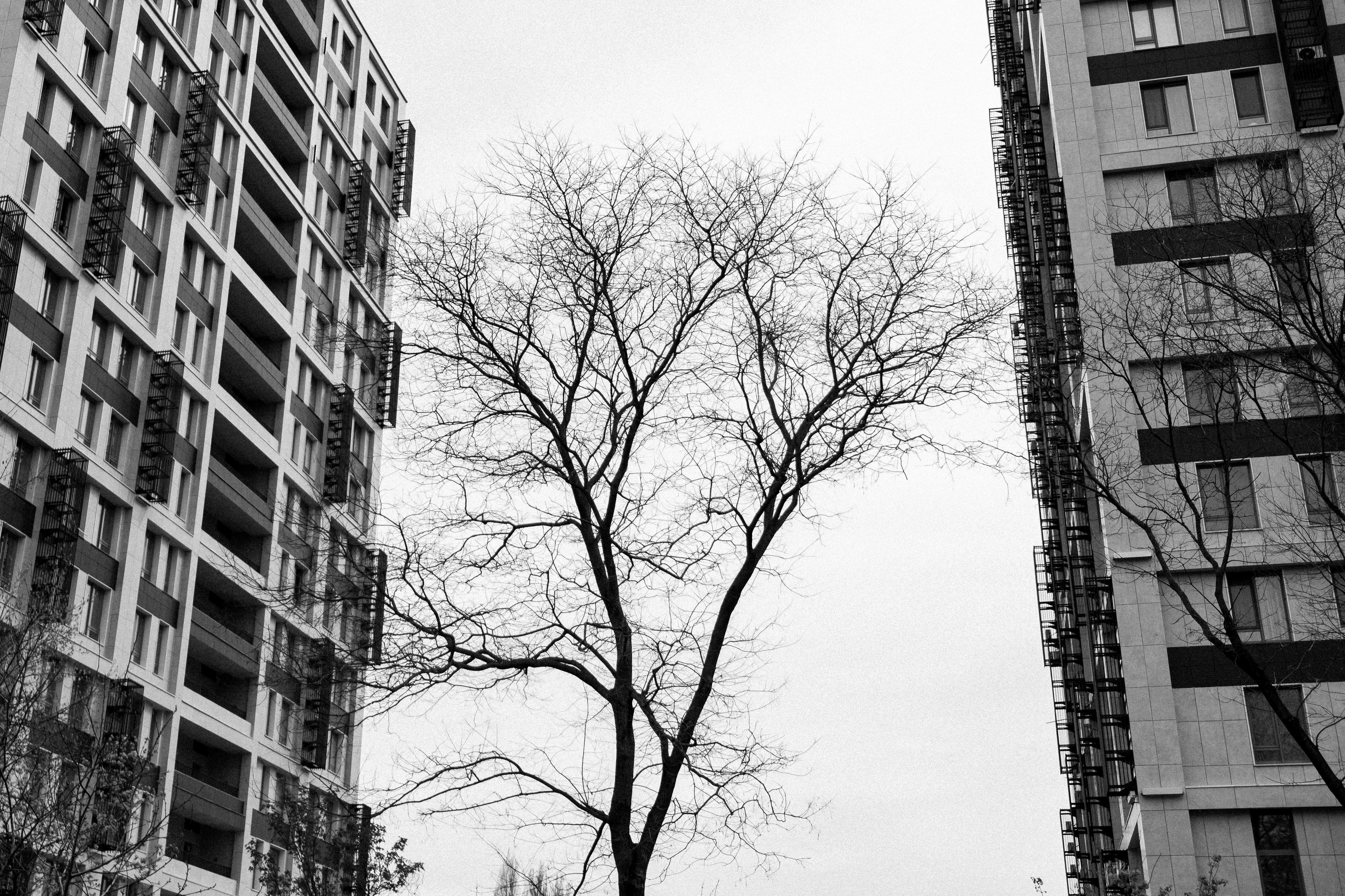 a black and white photo of two tall buildings