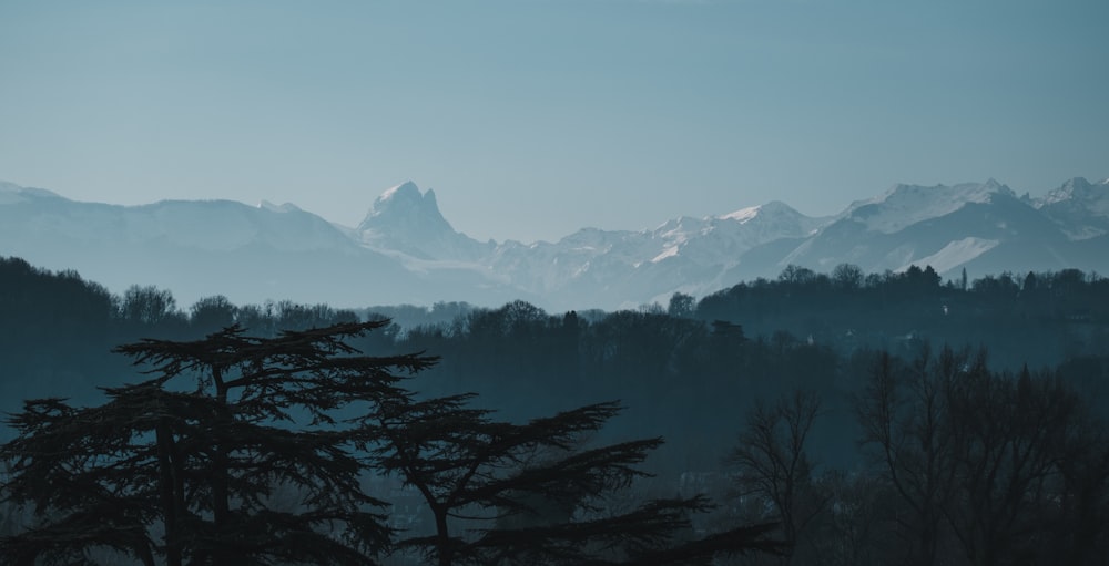 a view of a mountain range with trees in the foreground