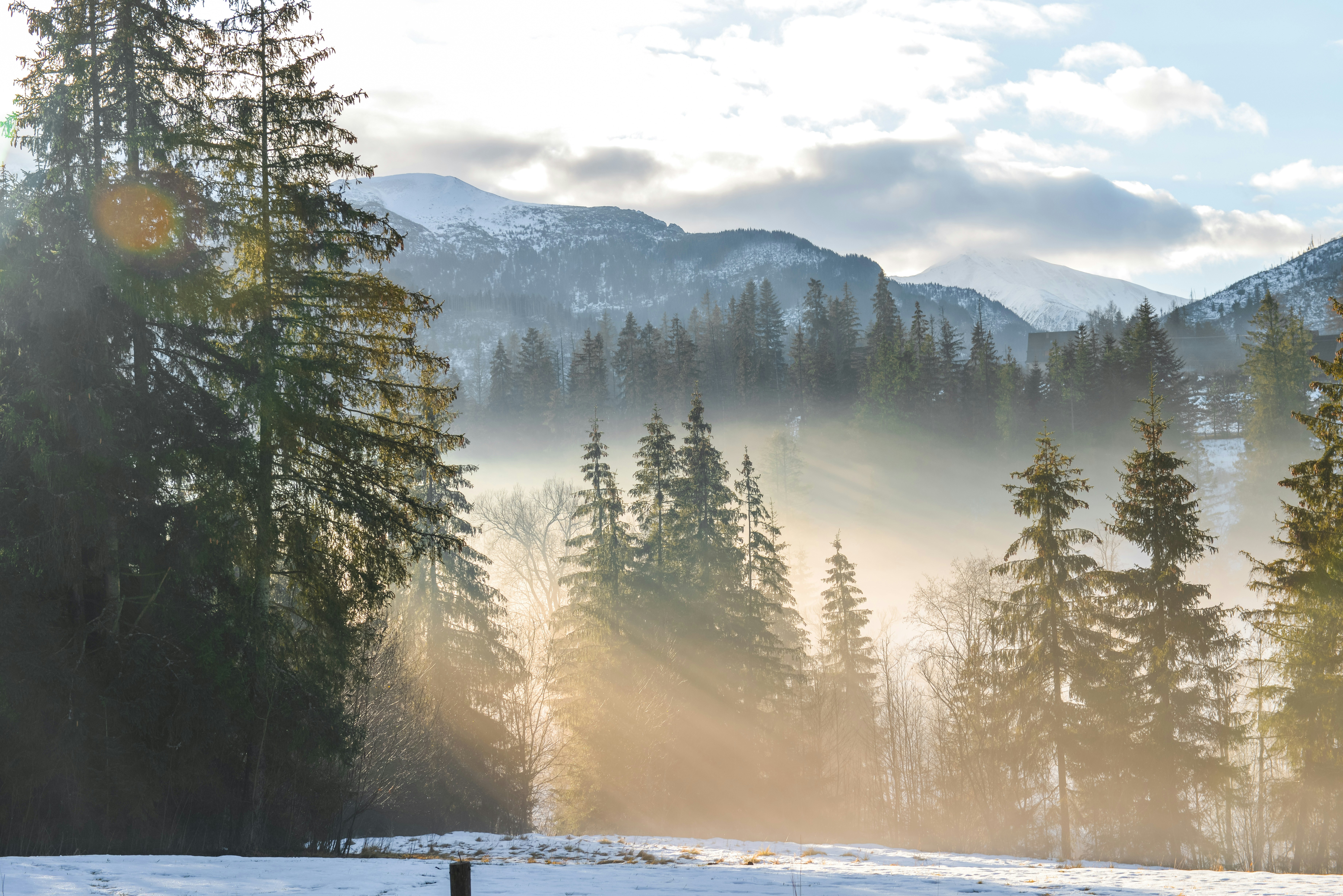 the sun is shining through the trees in the mountains, morning in Tatra mountains, Poland 22/12/25