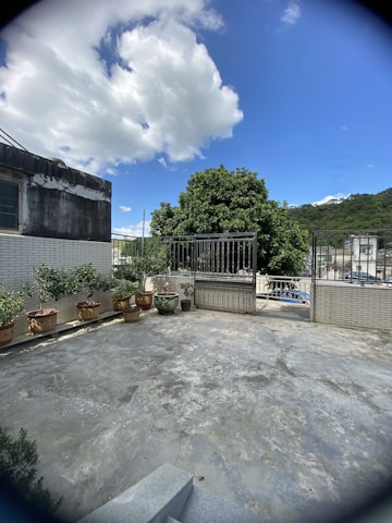 A vibrant terrace garden bursting with colorful flowering plants and neatly arranged pots under a clear blue sky.