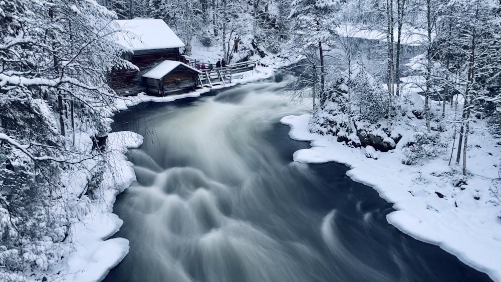 a river running through a forest covered in snow