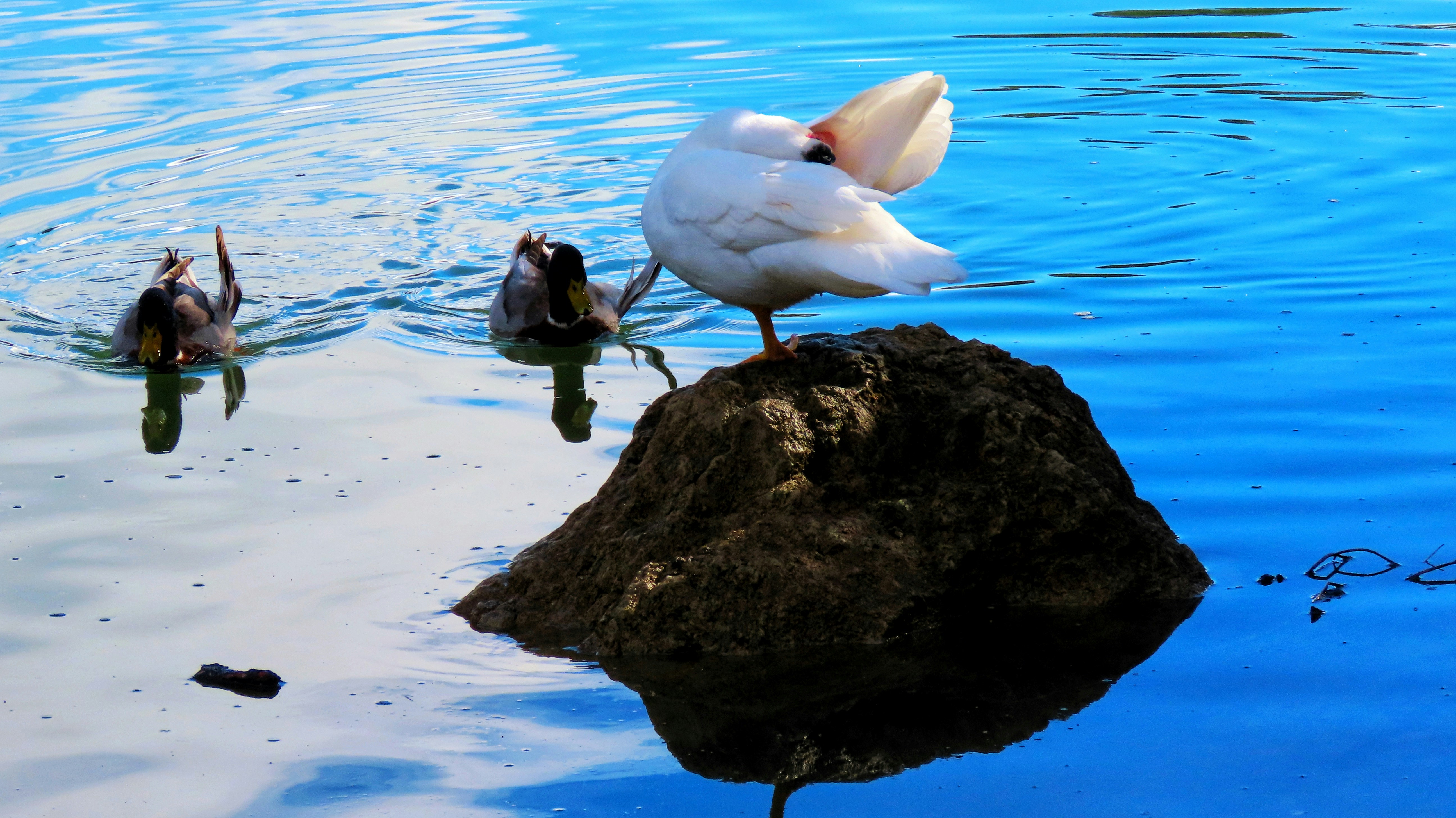 Photo by eliastsapaliaris