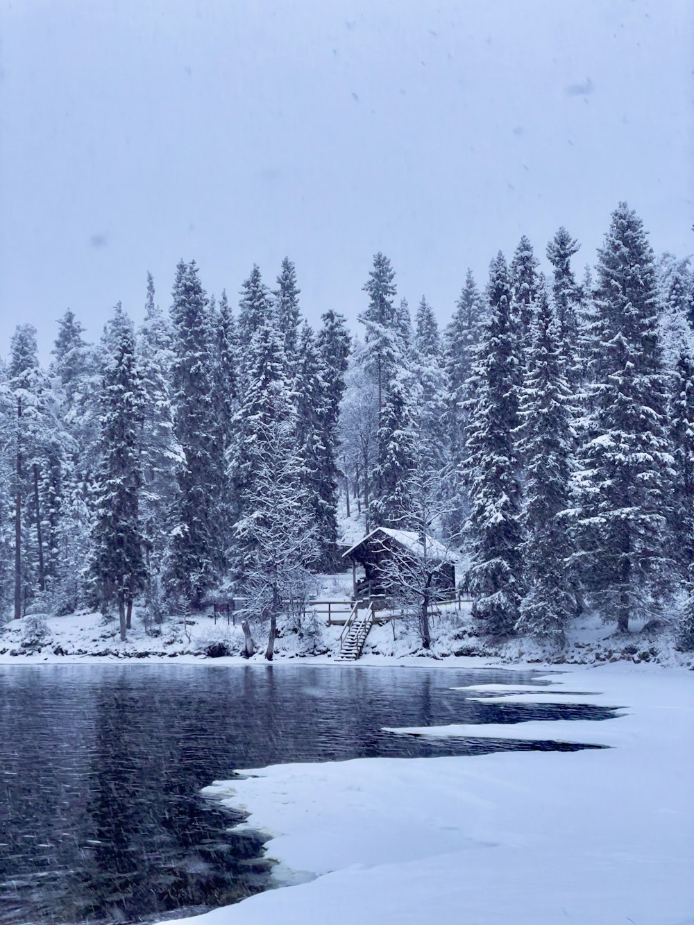 a cabin in a snowy forest next to a lake