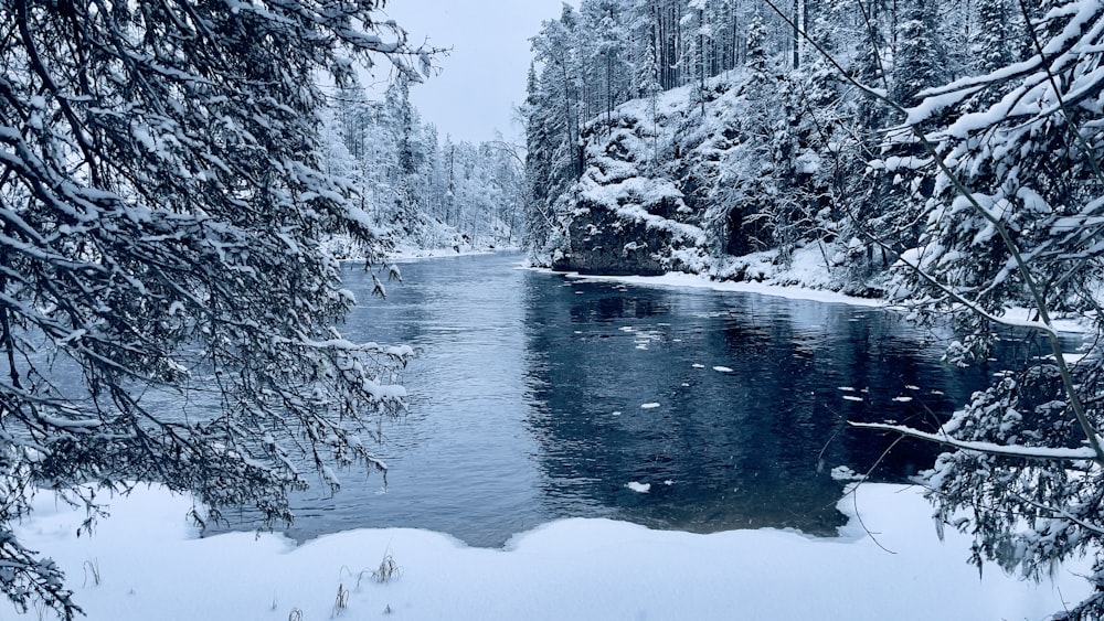 a river surrounded by trees covered in snow