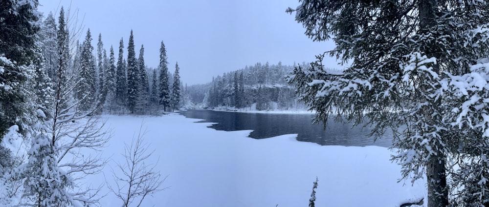 a lake surrounded by trees covered in snow