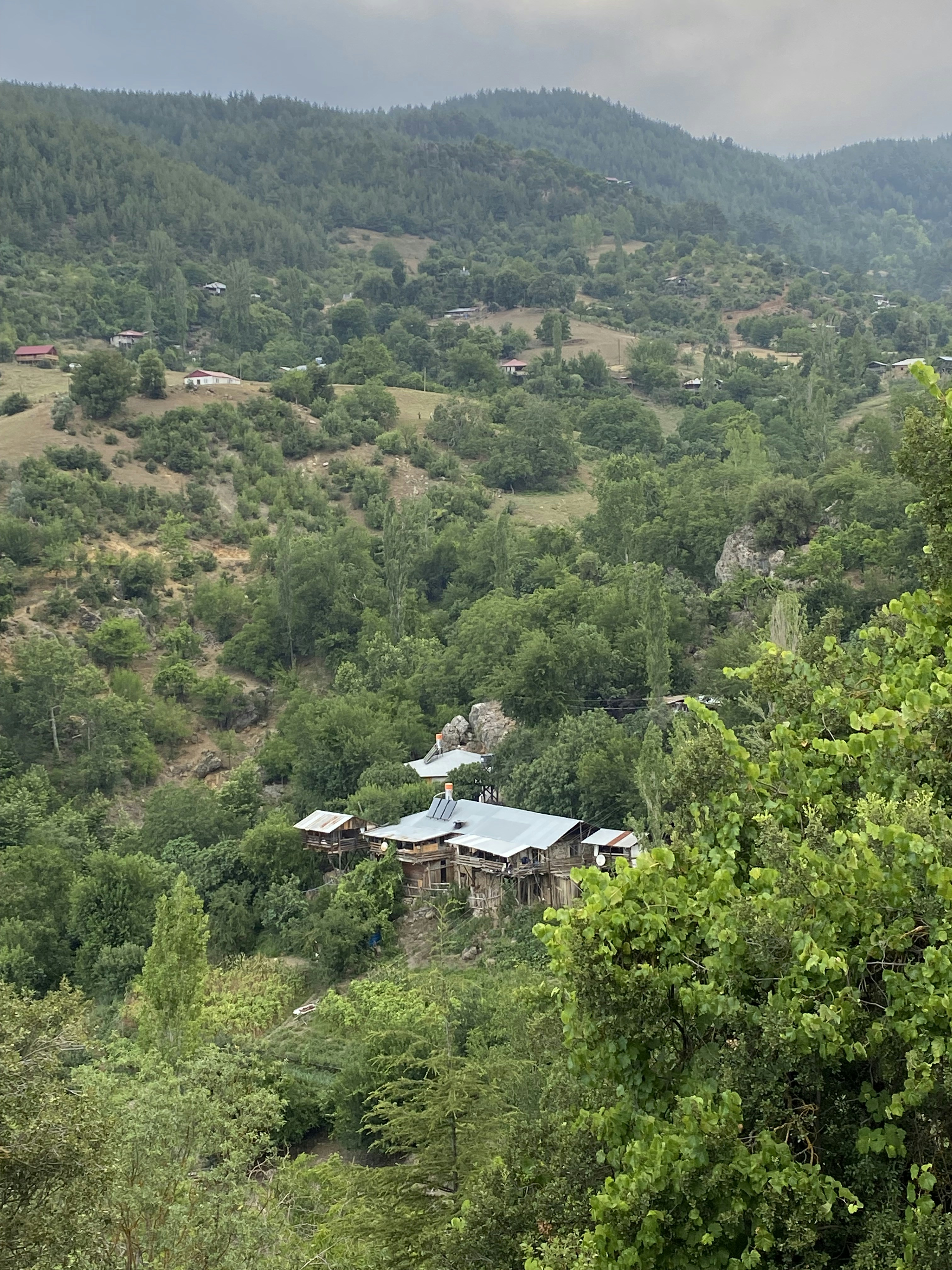 Photo by mervenurbingol