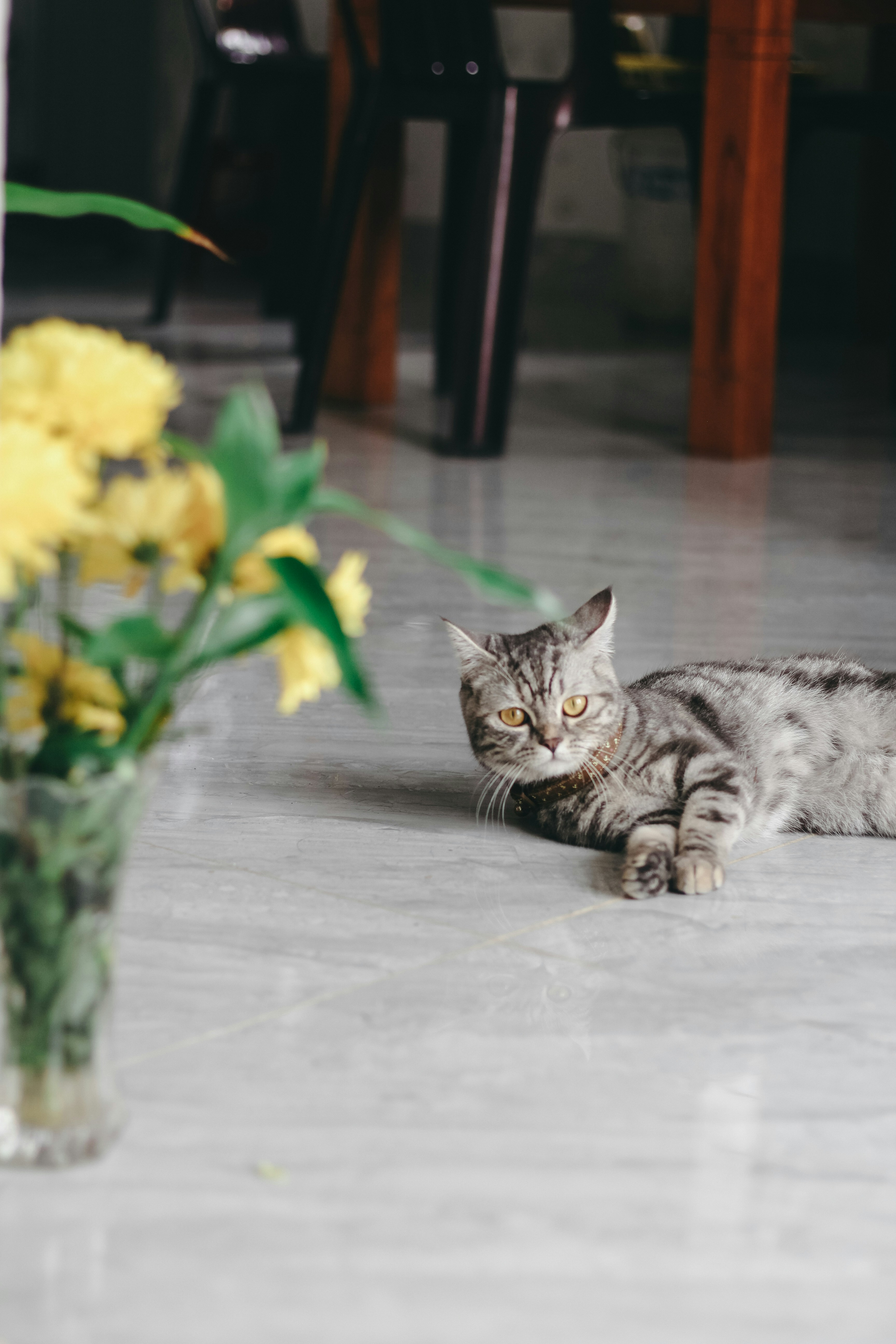 a cat laying on the floor next to a vase of flowers