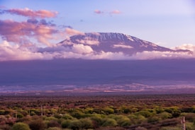 A breathtaking view of a snow-capped mountain under a sky filled with pink and purple-tinted clouds, creating a serene and majestic atmosphere. The expansive landscape below features a vast savannah with scattered bushes and trees.