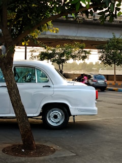 a white car parked in a parking lot next to a tree