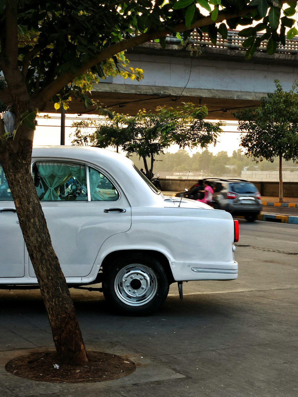 a white car parked in a parking lot next to a tree