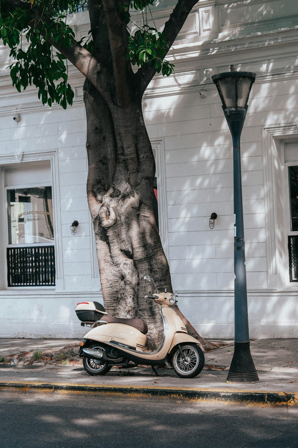 a scooter parked next to a tree on a city street