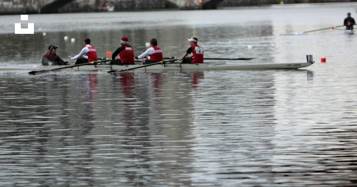 A group of rowers rowing on a river under a bridge photo – Free Head of ...