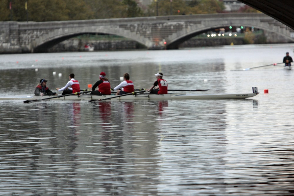 a group of rowers rowing on a river under a bridge