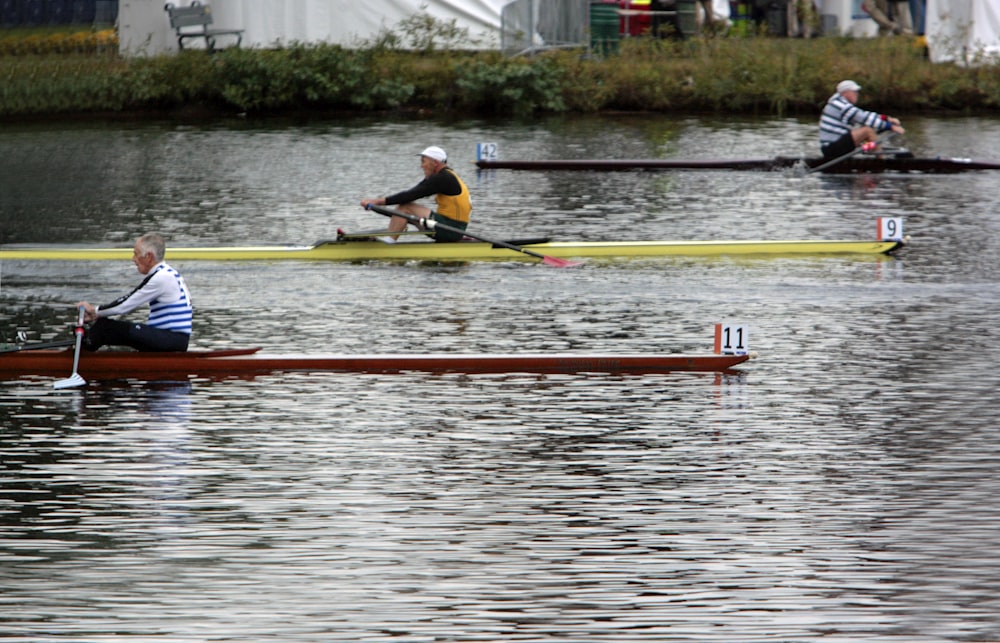 a group of people rowing on a body of water