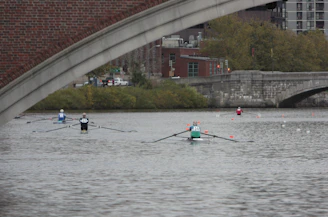 Rowers in a race are seen paddling along a river under a bridge. The rowers wear numbered jerseys and are positioned in individual boats. The background features a cityscape with buildings, trees, and a stone bridge crossing the river.