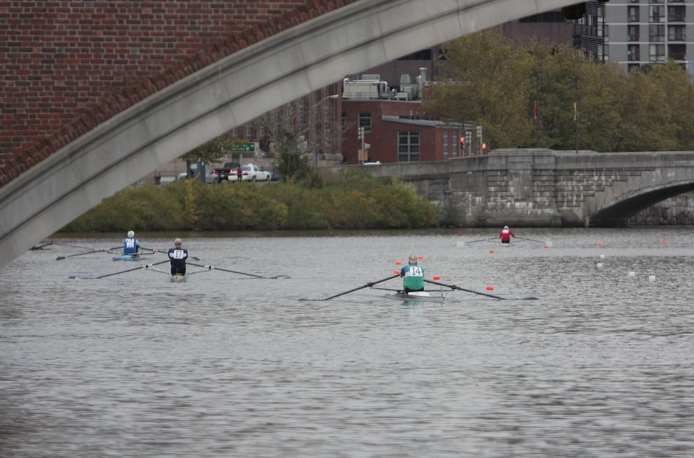 a group of people rowing on a body of water