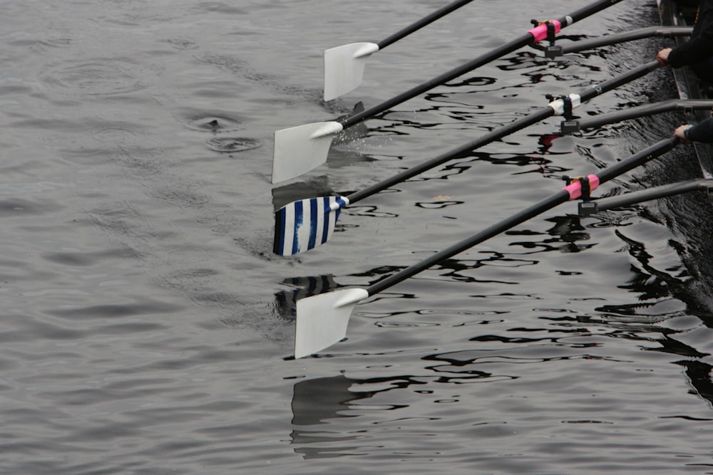 a row of rowing boats in the water