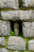 Close-up of a handcrafted natural stone wall blending with dark green plants.