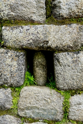 Close-up of a handcrafted natural stone wall blending with dark green plants.
