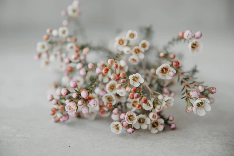 A delicate arrangement of pastel pink and white flowers with subtle green leaves, styled on a soft white linen background.