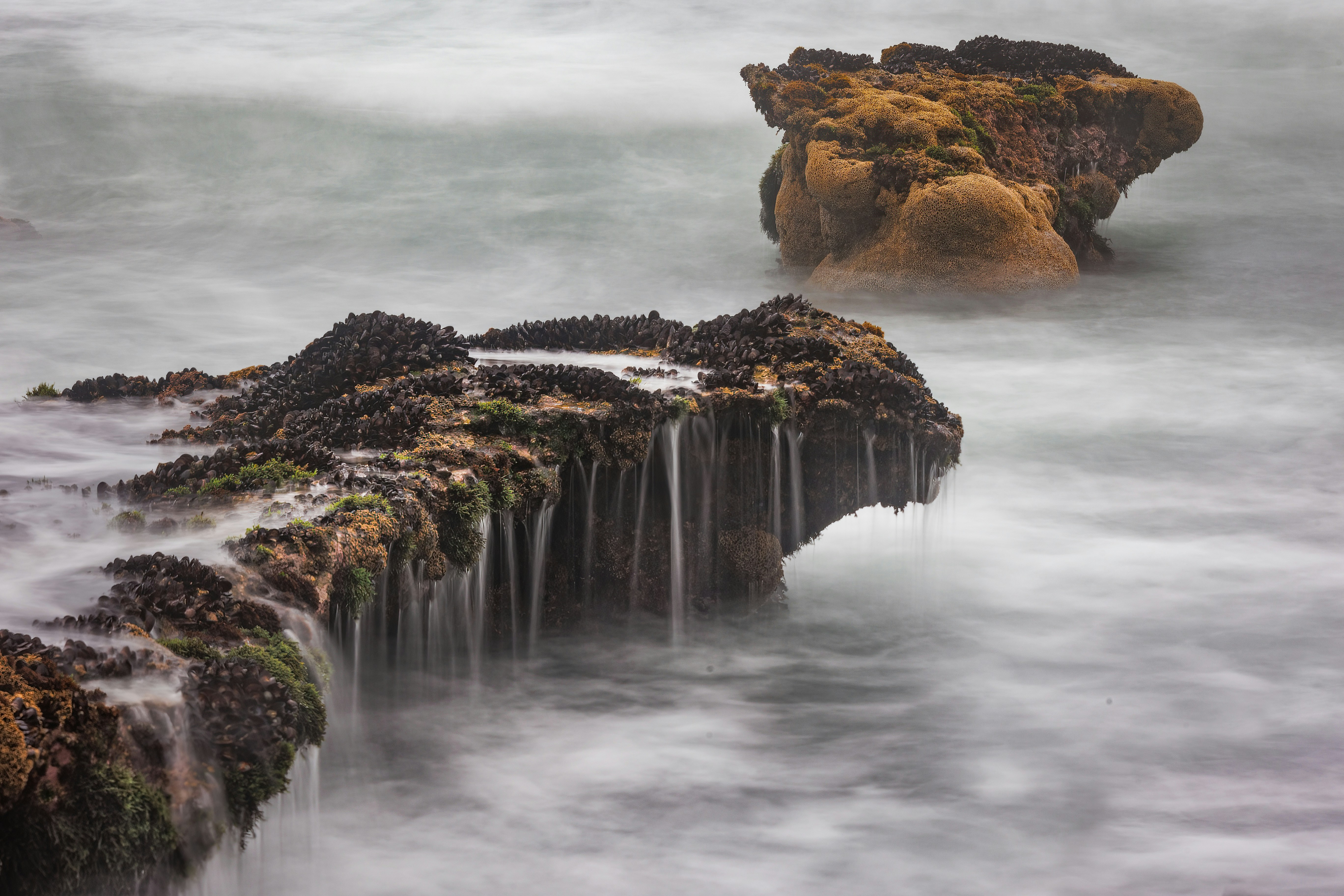 Photo by charl_durand