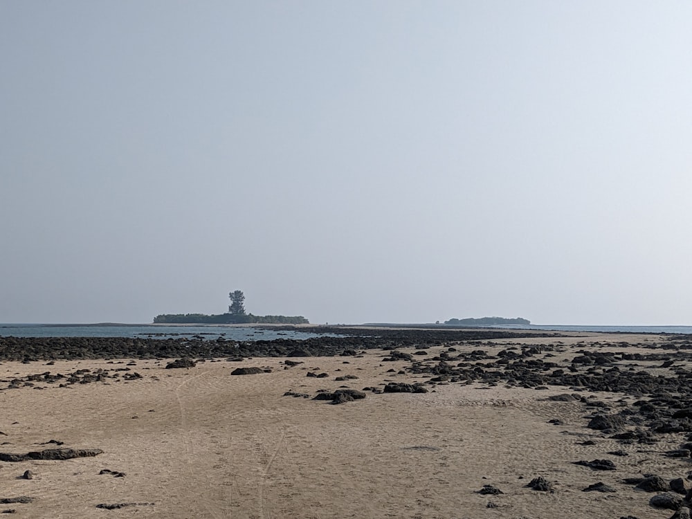 a large body of water sitting next to a sandy beach